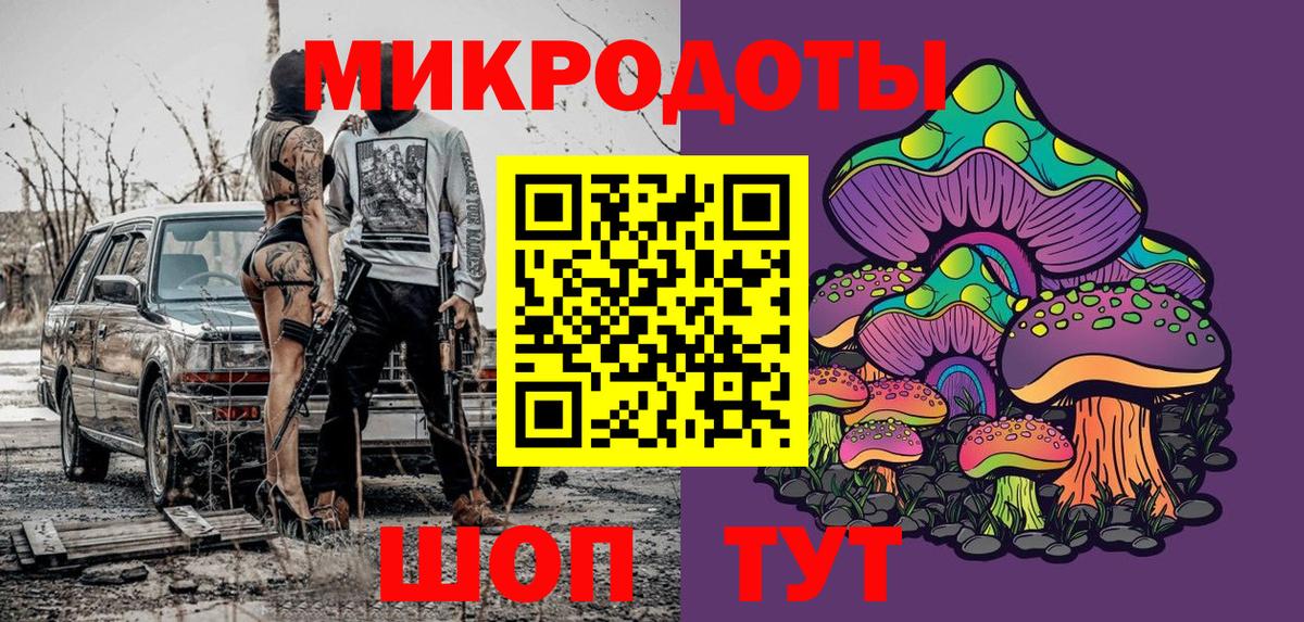 Кизилюрт  Галлюциногенные грибы Cubensis  Вход с VPN 