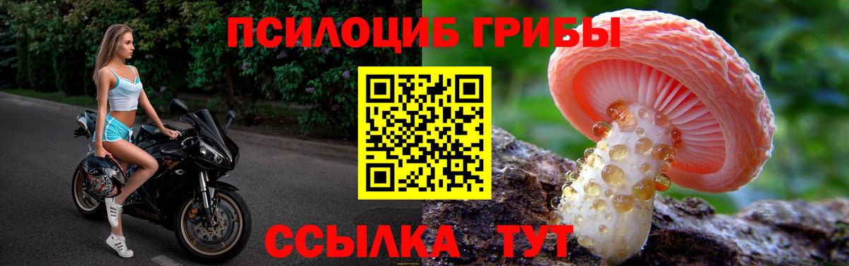 Псилоцибиновые грибы мухоморы Кизилюрт